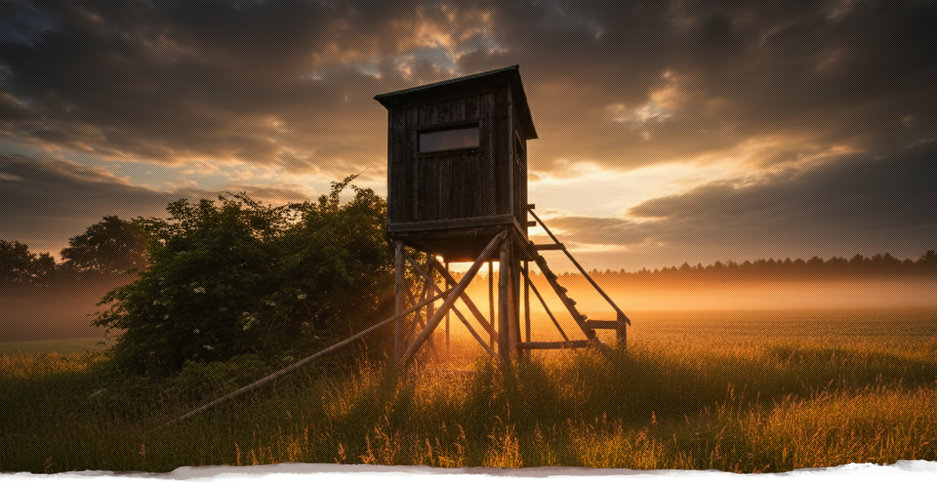 Hochsitz, Ansitzleiter, Reviereinrichtung, Jägersitze, Jäger, Revier, Drückjagdleiter, Jagdubehör, Forst, Holz, Jagdkanzel, offene Kanzel, Scherenleiter, Kanzel, geschlossene Kanzel, Ansitzeinrichtungen, Reviereinrichtungen, Hochsitz, Jagdsitze, Drückjagdböcke, Jägersitze, Jagdsitze, Hochsitze, Hochsitz, Schlafkanzeln, mobile Ansitzeinrichtungen, Panoramakanzeln, Scherenleitern, Baumleitern, Jagdzubehör, Jühnde, Scheden, Dransfeld, vom Jäger für Jäger, handgefertigte Ansitzeinrichtungen