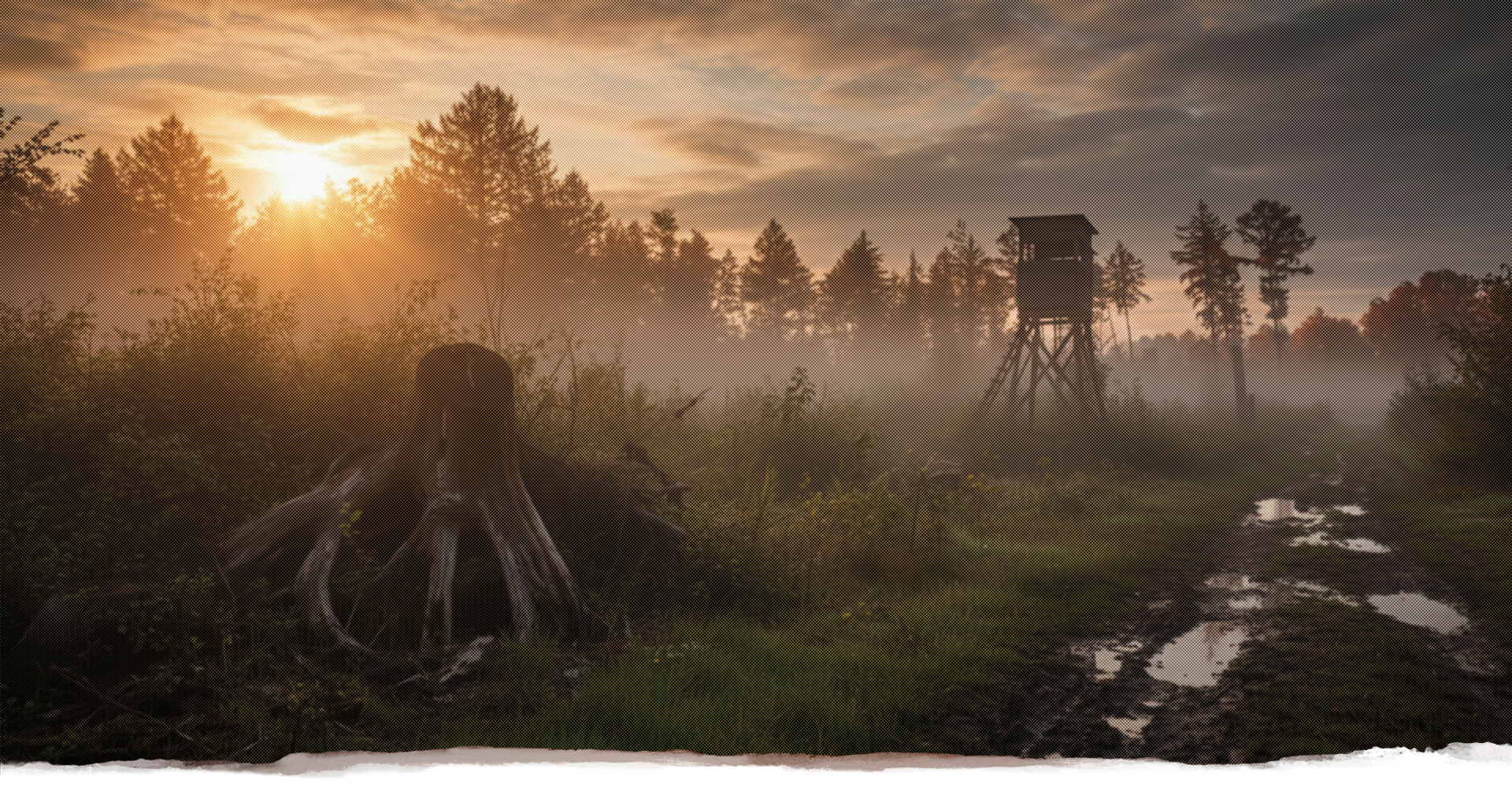 Jägerstand, Jägersitz, Hochsitze, Hochsitz, Ansitzleiter, Reviereinrichtung, Drückjagd, Jagd, Jägersitze, Jäger, Revier, Jagdrevier, Ansitz, Drückjagdleiter, transportabel, flexibel, Jagdzubehör, Forst, Holz, Vaugus, Gilsa, Aufbau, Dachpaket, Tarnnetz, Anstrich, Imprägnierung, Waldkanzel, offene Kanzel, Scherenleiter, Kanzel, geschlossene Kanzel, Ansitzeinrichtungen, Reviereinrichtungen, Hochsitz, Jagdsitze, Drückjagdböcke, Jägersitze, Jagdsitze, Hochsitze, Hochsitz, Schlafkanzeln, mobile Ansitzeinrichtungen, Panoramakanzeln, Scherenleitern, Baumleitern, Jagdzubehör, Jühnde, Scheden, Dransfeld, vom Jäger für Jäger, handgefertigte Ansitzeinrichtungen